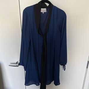 Stunning work dress with neck tie detail